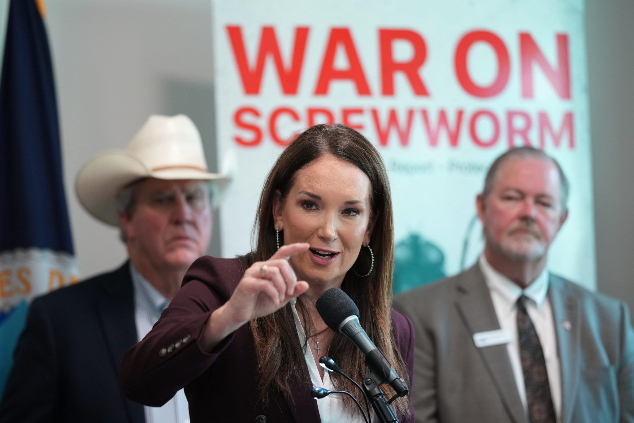 Screwworm chega ao Novo México e ameaça pecuária americana