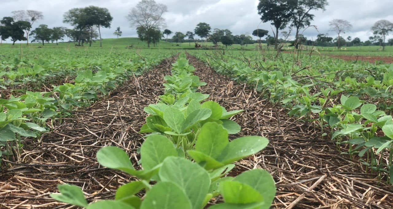 Governo corta R$ 56,3 milhões do seguro rural e reduz verba a quase metade