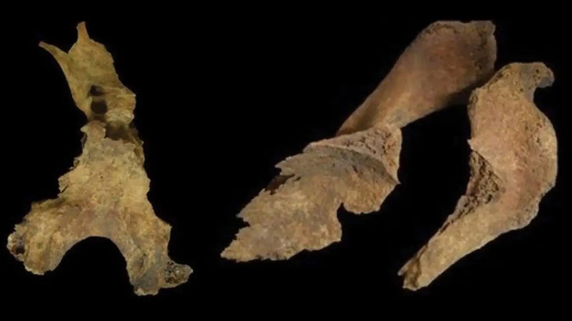 Arqueólogos encontram evidências de rituais funerários complexos na Idade do Ferro britânica