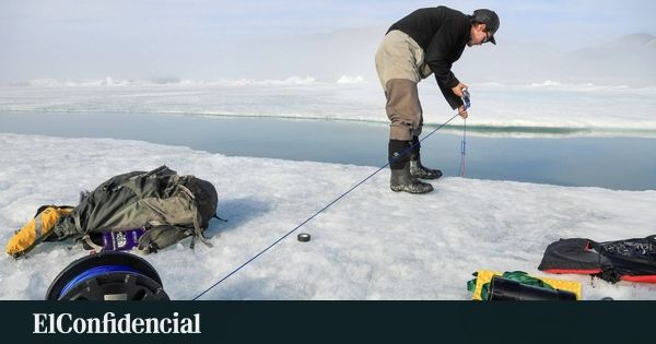 Um lago do Ártico some do mapa: o que o colapso ensina sobre o clima