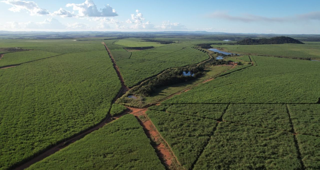Citi reduz preço-alvo da Jalles para R$ 3 — setor sucroenergético enfrenta ciclo de custos altos