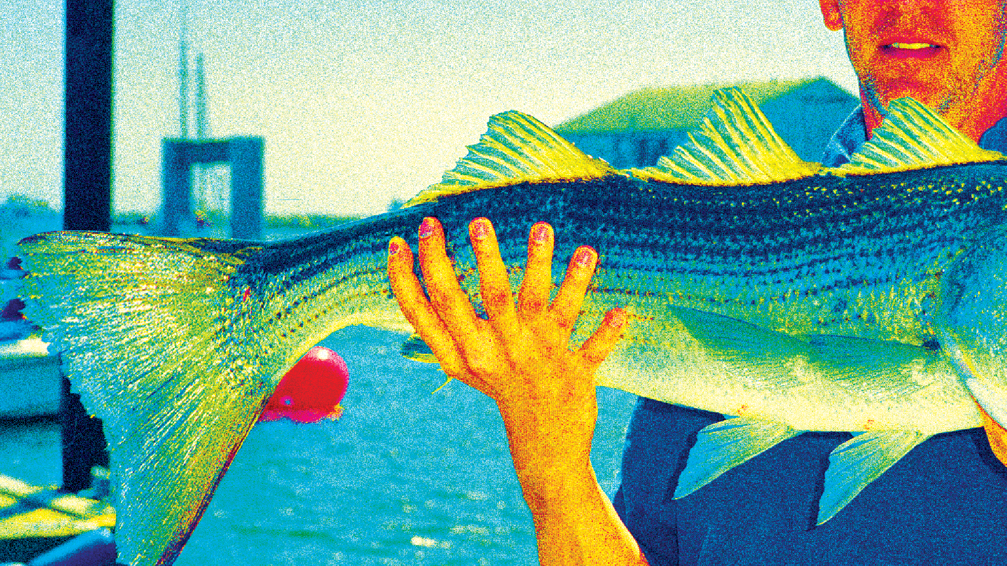 IA distorce a realidade em hobbies: de peixes gigantes a montanhas falsas