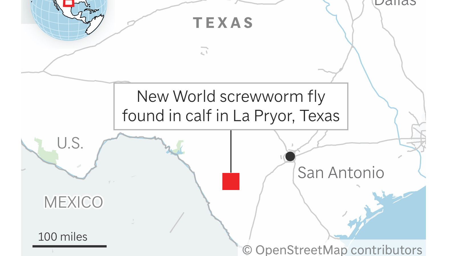 Infestação de mosca carnívora no Texas desafia indústria bilionária de gado