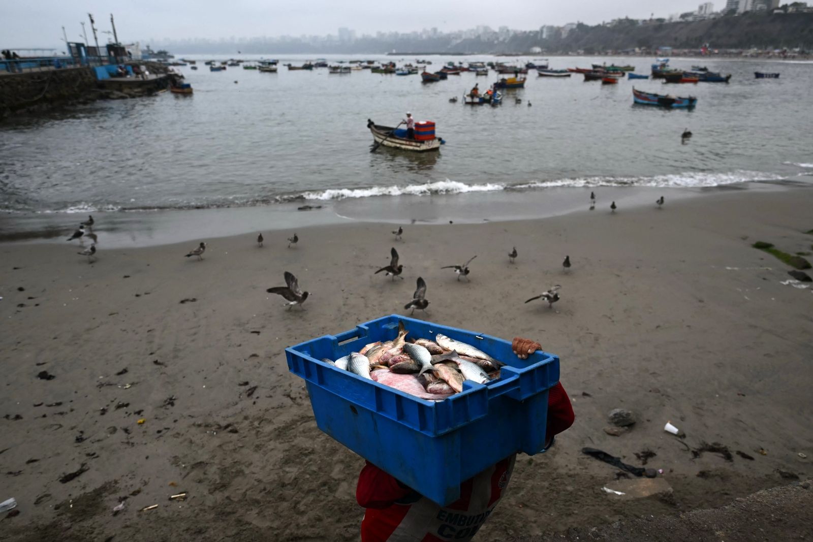 El Niño altera rotas de pesca no Pacífico — e cria vencedores e perdedores