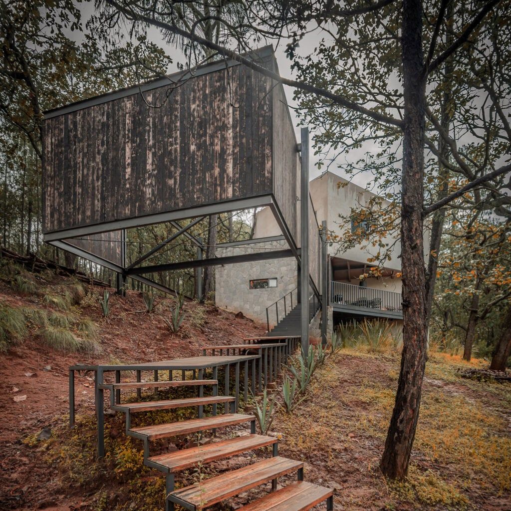 Dosorozco usa pedra e madeira carbonizada em casa na floresta mexicana