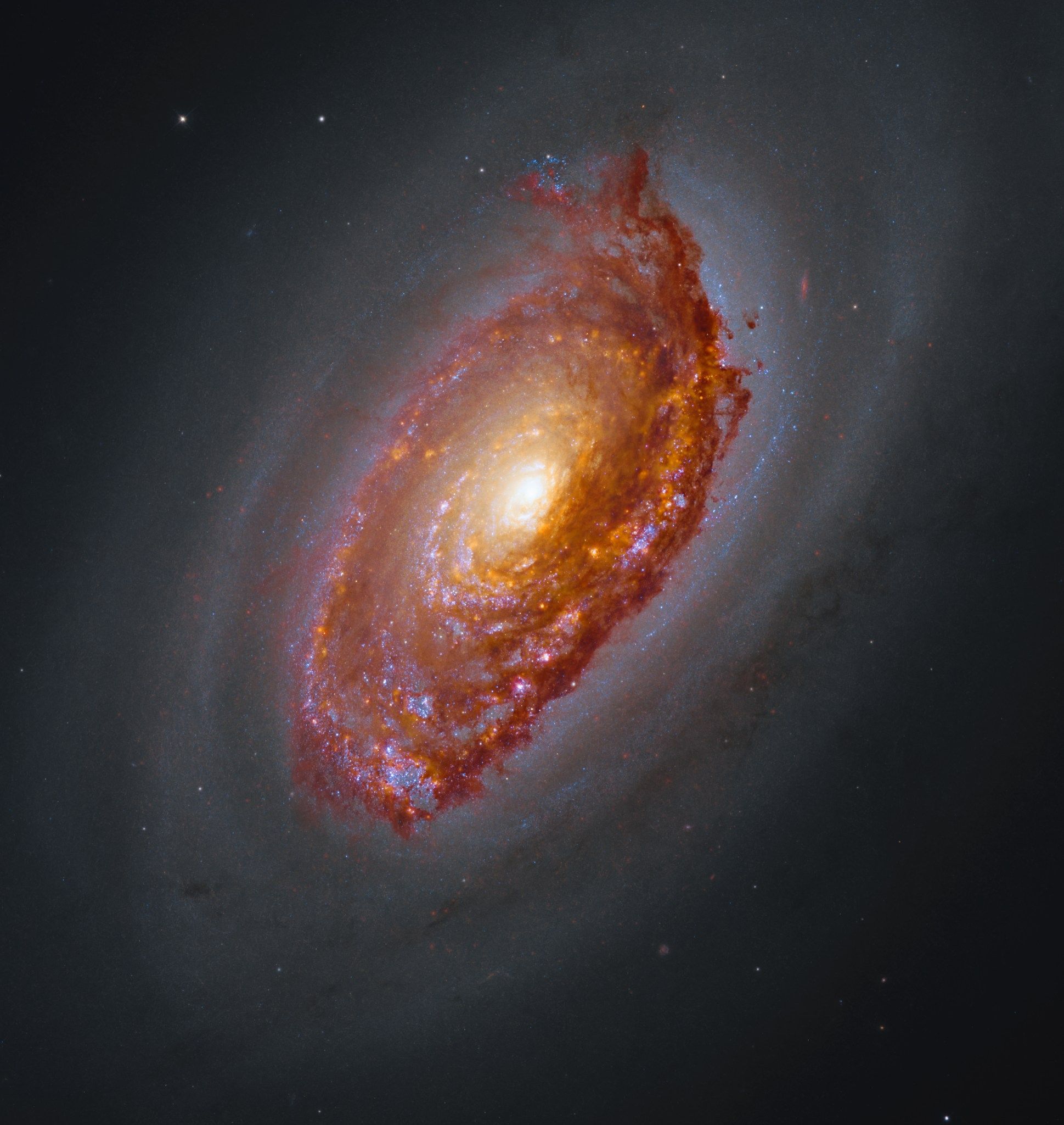 Hubble e Webb revelam a dinâmica incomum da Galáxia do Olho Negro