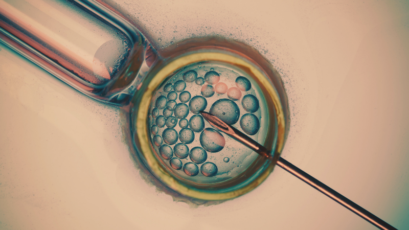 Custo da Fertilidade nos EUA: Quem Pode e Quem Não Pode Ter Filhos