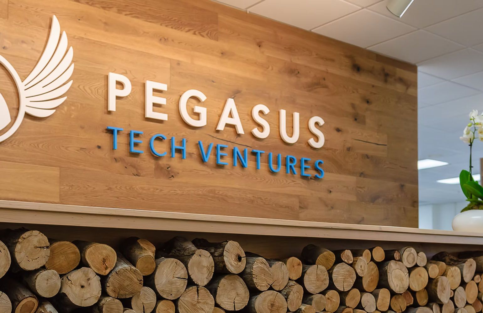 Pegasus Tech Ventures abre fundo de US$ 60 milhões para robótica e IA física