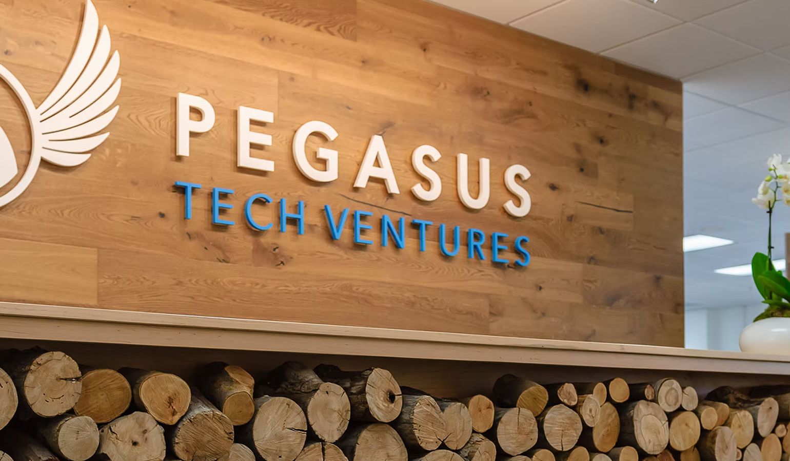 Pegasus Tech Ventures abre fundo de US$ 60 milhões para robótica e IA física