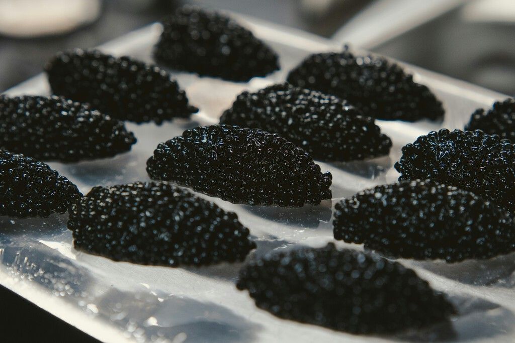 Caviar despenca de preço e desafia status de luxo