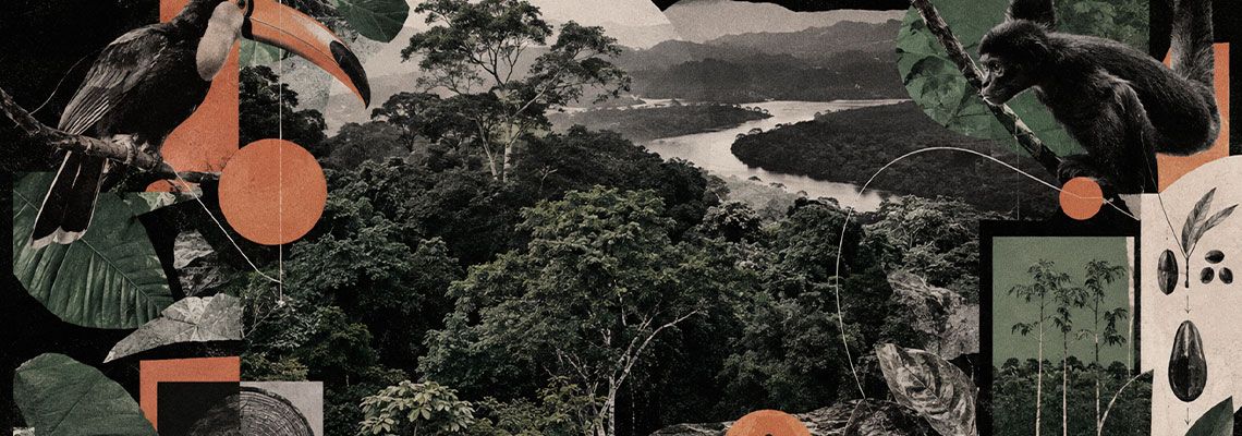 Ecologista critica plantio em massa e revela redes naturais que restauram florestas