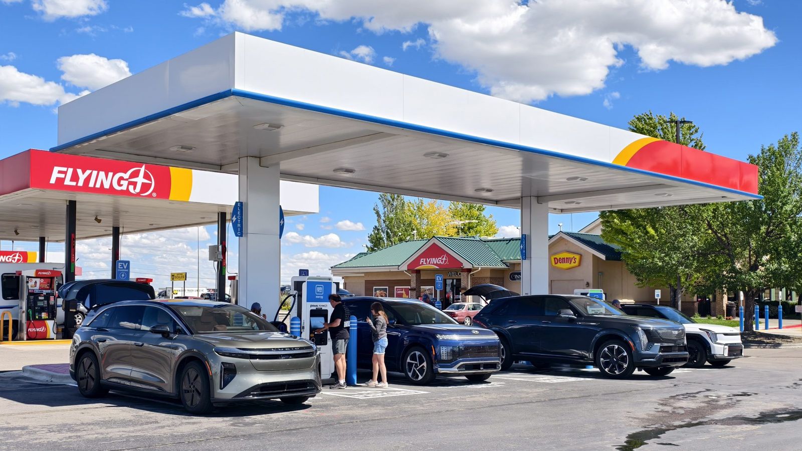 Jornalistas automotivos cruzam os EUA em missão de resgate com 16 cães — e provam a maturidade dos EVs