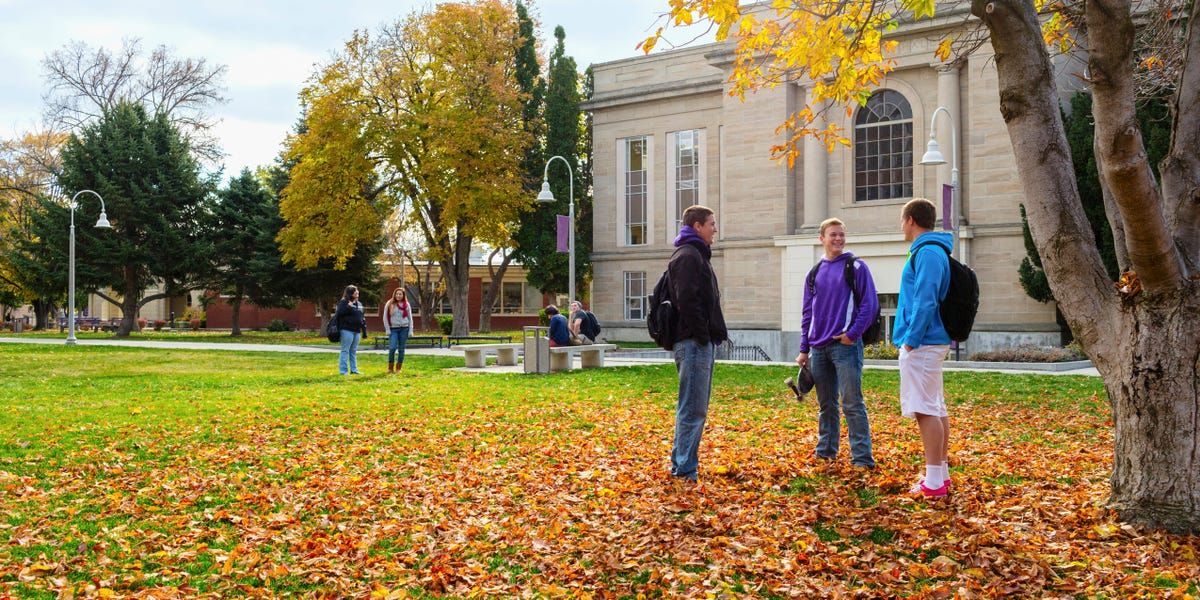 A universidade sem dívida: o novo luxo americano