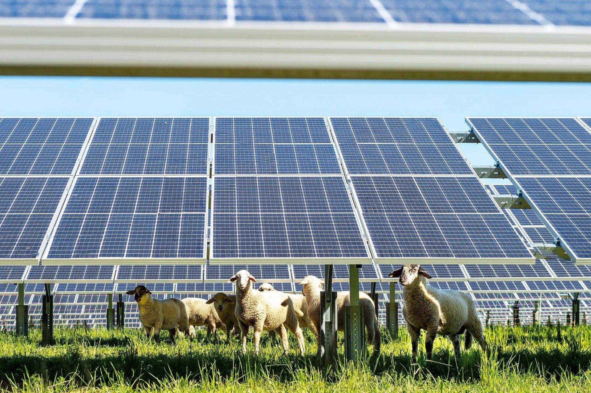 Energia solar economiza €17 bi na Espanha em 18 meses