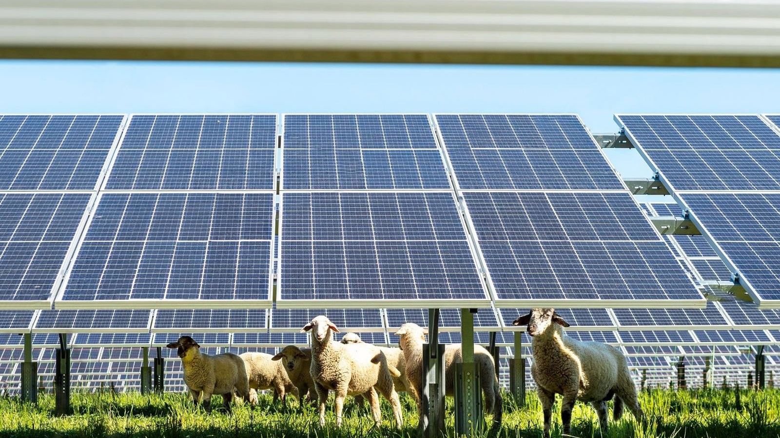 Energia solar economiza €17 bi na Espanha em 18 meses