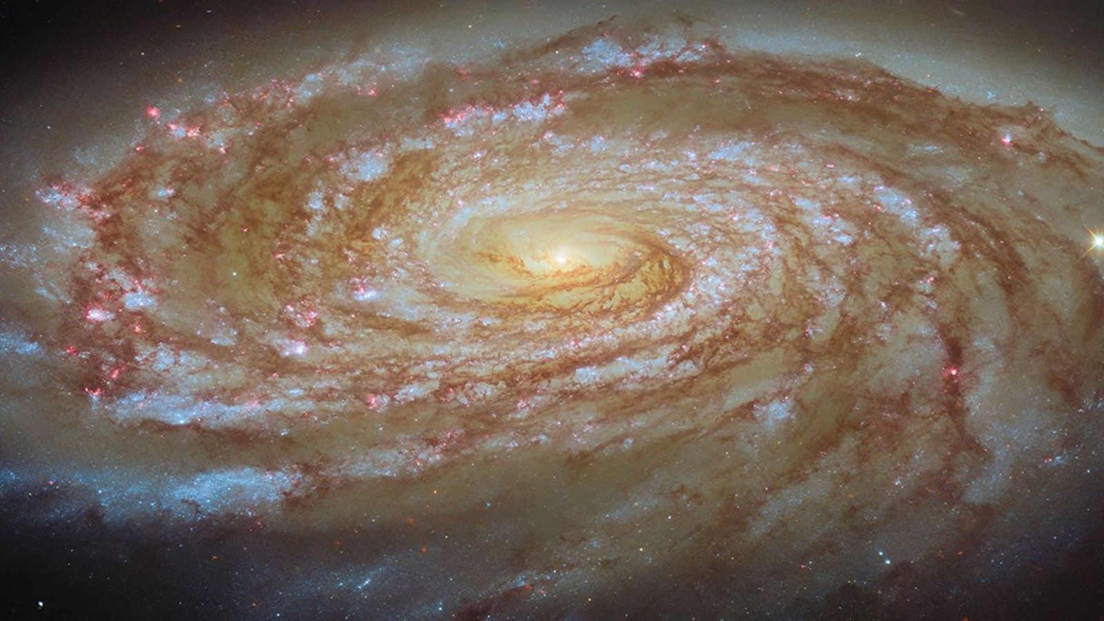 Messier 88 mergulha no aglomerado de Virgem — e revela dinâmicas cósmicas