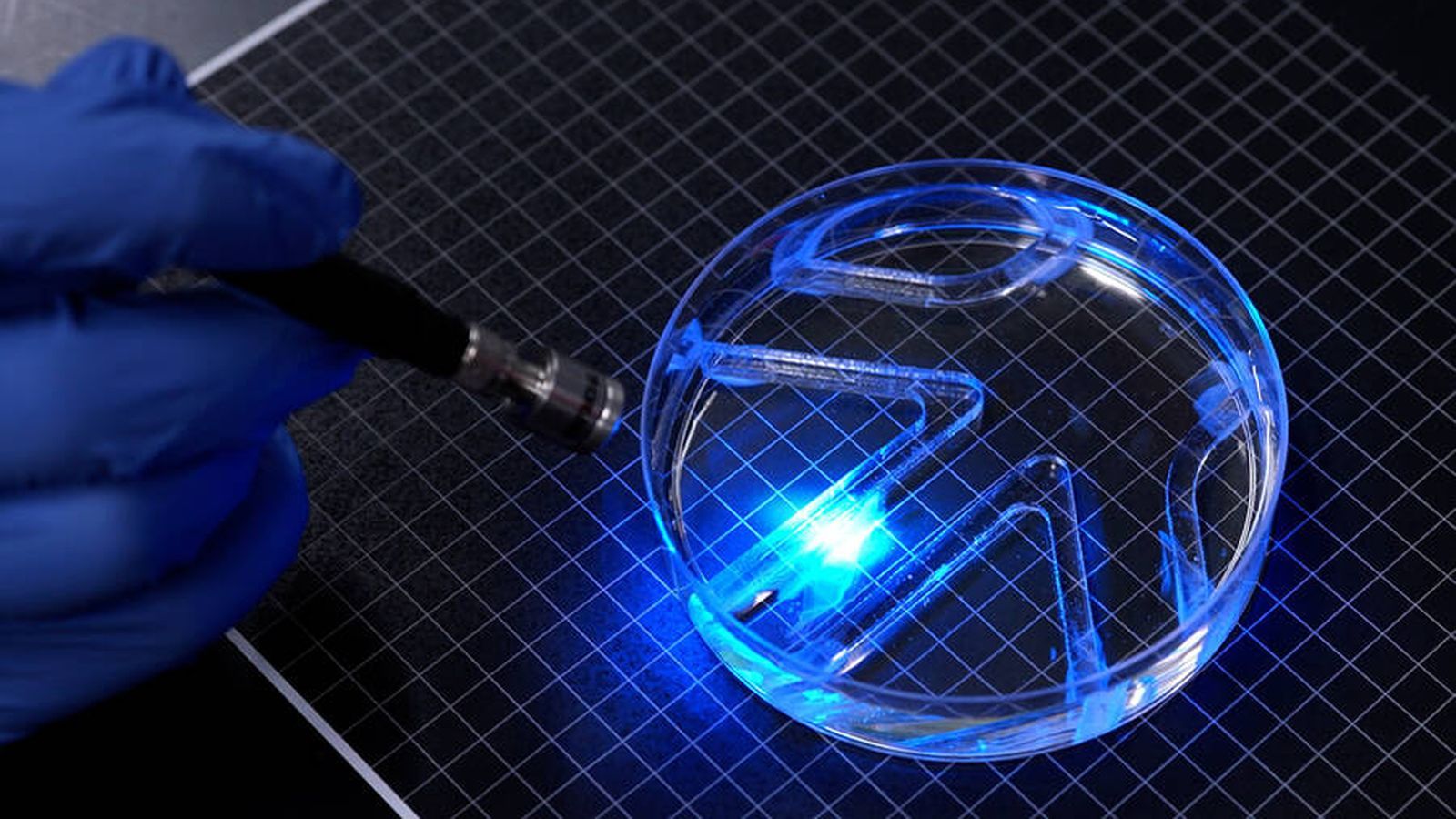 MIT: Robô de célula muscular viva nada com luz