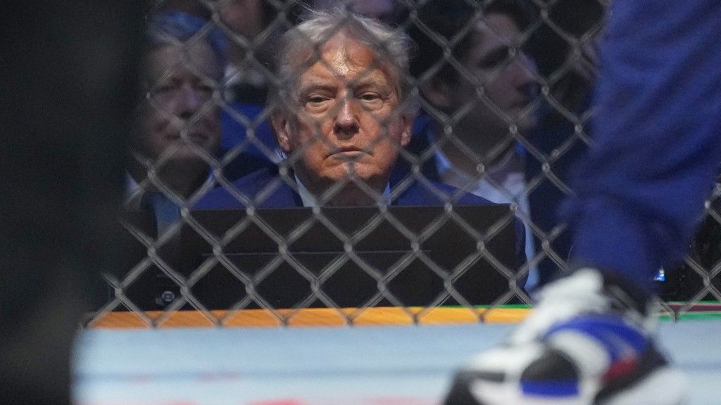 Declínio de Trump ganha contornos de crise institucional — e o sistema reage