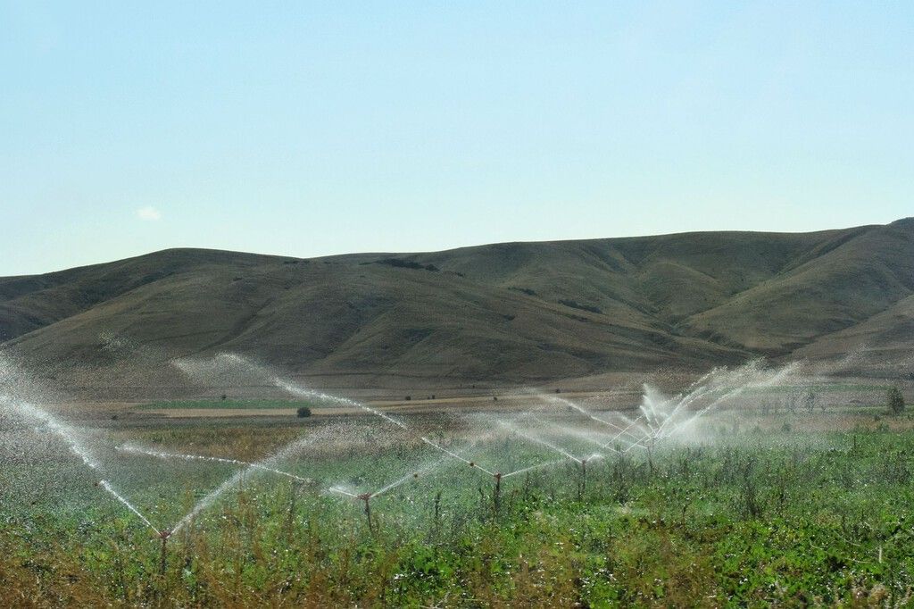 WWF: 80 mil hectares na Espanha usam água roubada de seis acuíferos