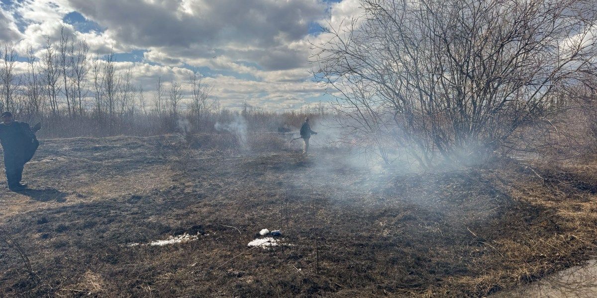 Resumo da Semana: IA Lúdica, Permafrost em Risco e o Futuro da Energia
