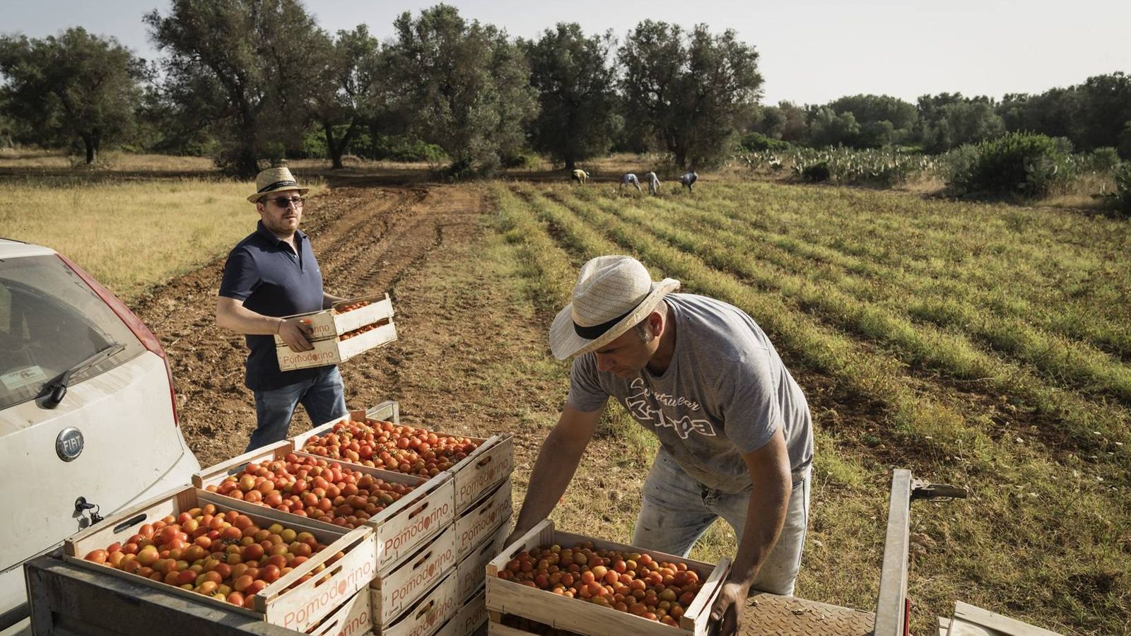 Risco climático reconfigura o crédito agrícola — bancos endurecem critérios no Brasil