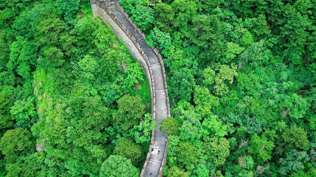 Reflorestamento na China: um paradoxo que esgota água