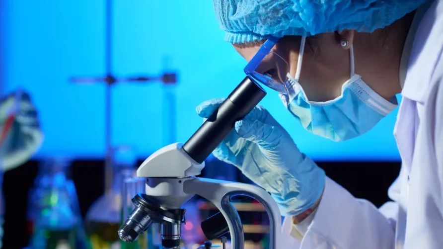 Baleares aposta em biotecnologia para crescer