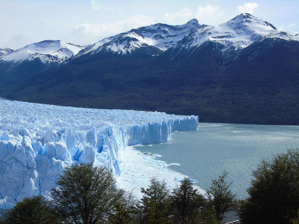 Oeste Americano Perde 300 Glaciares; Sobreviventes Buscam Refúgio