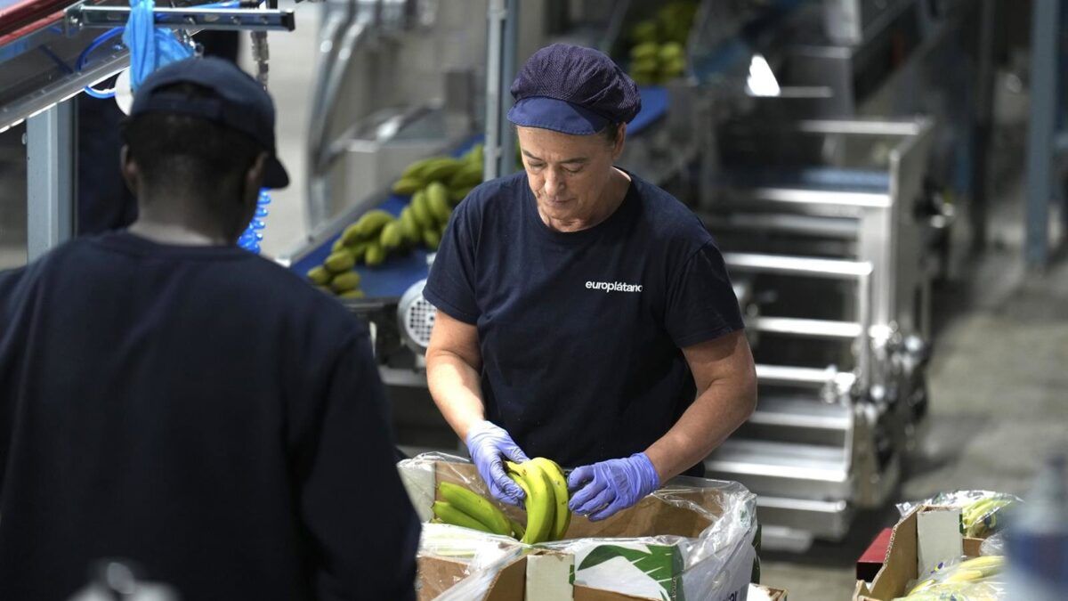 Na Espanha, um novo xerife para a igualdade de gênero
