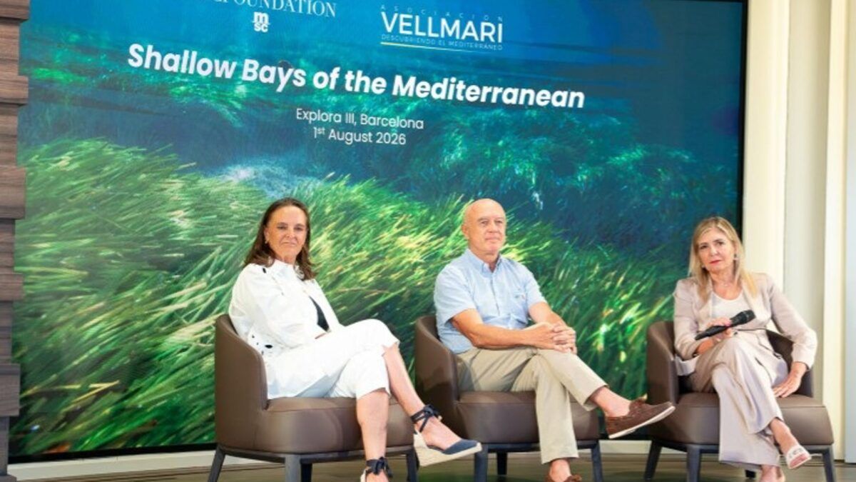 MSC financia a 'floresta' submersa do Mediterrâneo