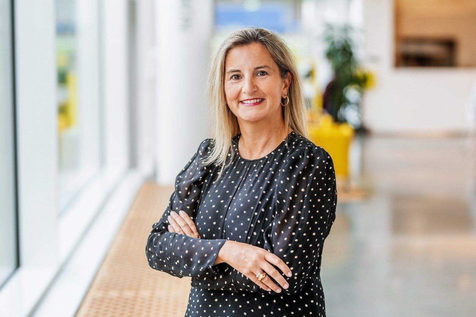 Ex-CEO da Ikea na Espanha assume Alvic e reforça governança