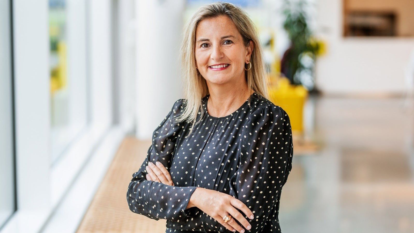 Ex-CEO da Ikea na Espanha assume Alvic e reforça governança