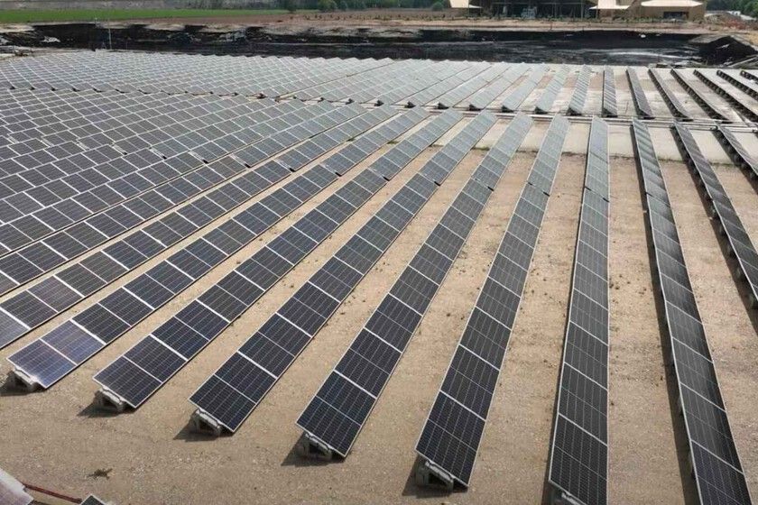 Azeite e energia, do mesmo solo: a solução agrivoltaica da Espanha