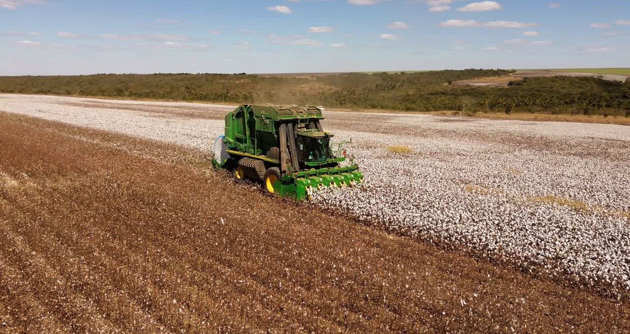 SLC Agrícola projeta alta em 2027, mas El Niño exige cautela