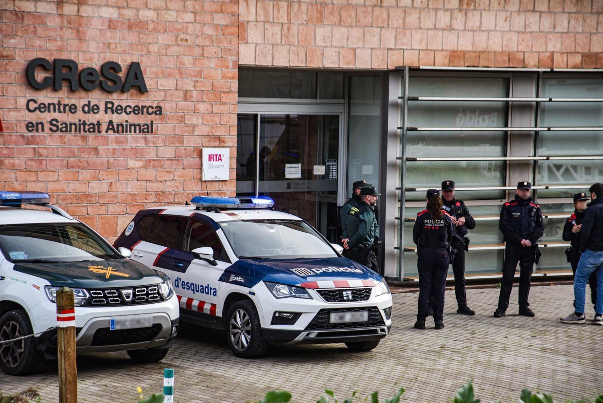 Polícia catalã retoma buscas em laboratório de Cerdanyola por surto de peste suína