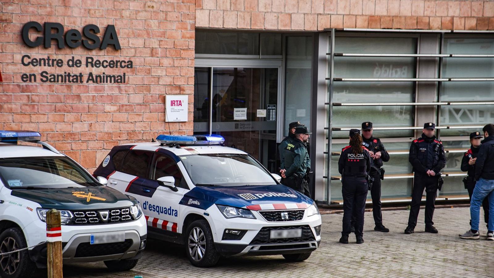 Polícia catalã retoma buscas em laboratório de Cerdanyola por surto de peste suína