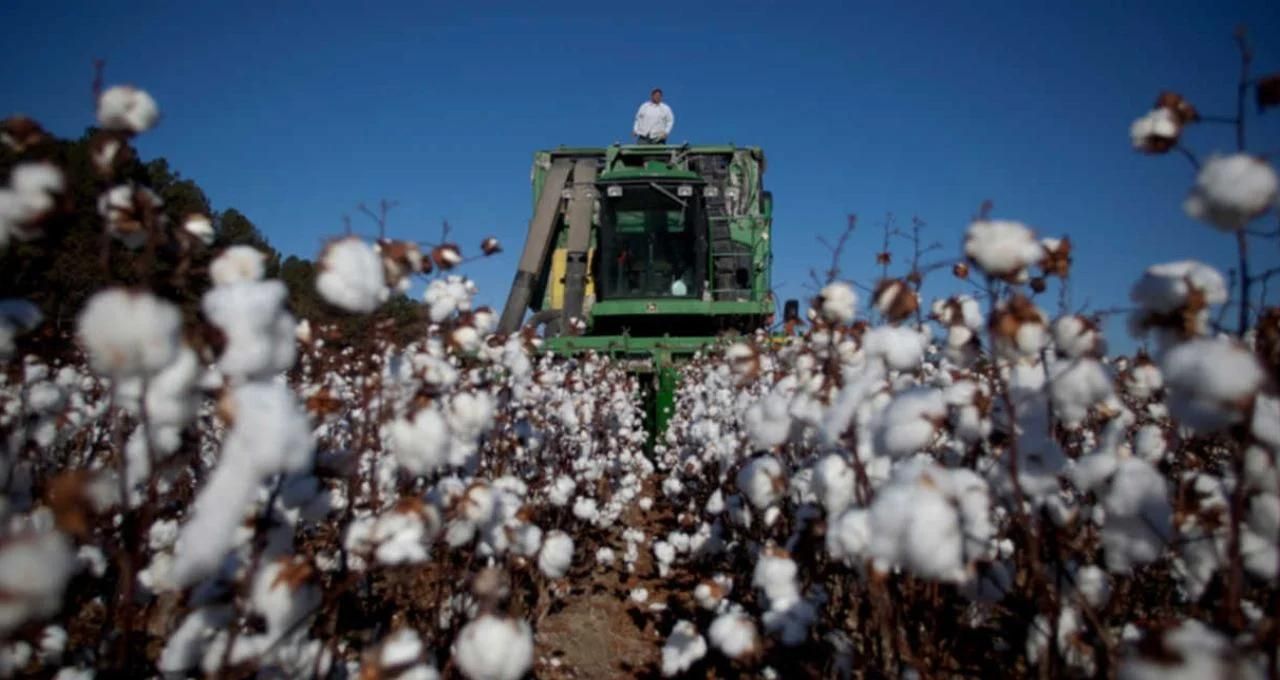 SLC Agrícola: a fazenda modelo que o mercado já precificou