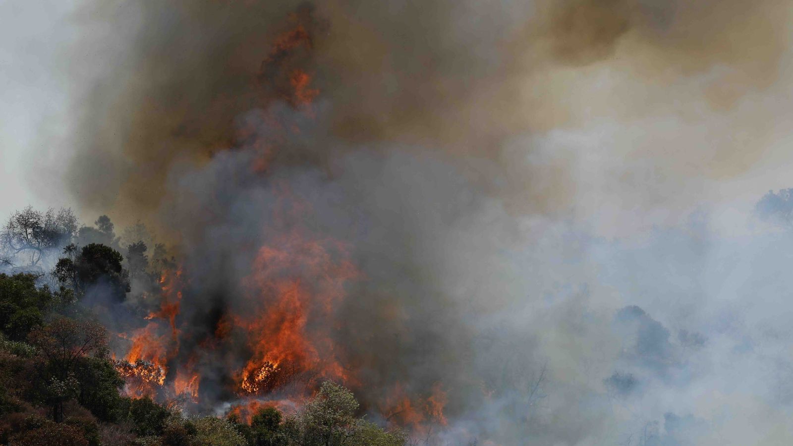 Copa do Mundo enfrenta risco invisível — a falta de plano para fumaça de incêndios florestais
