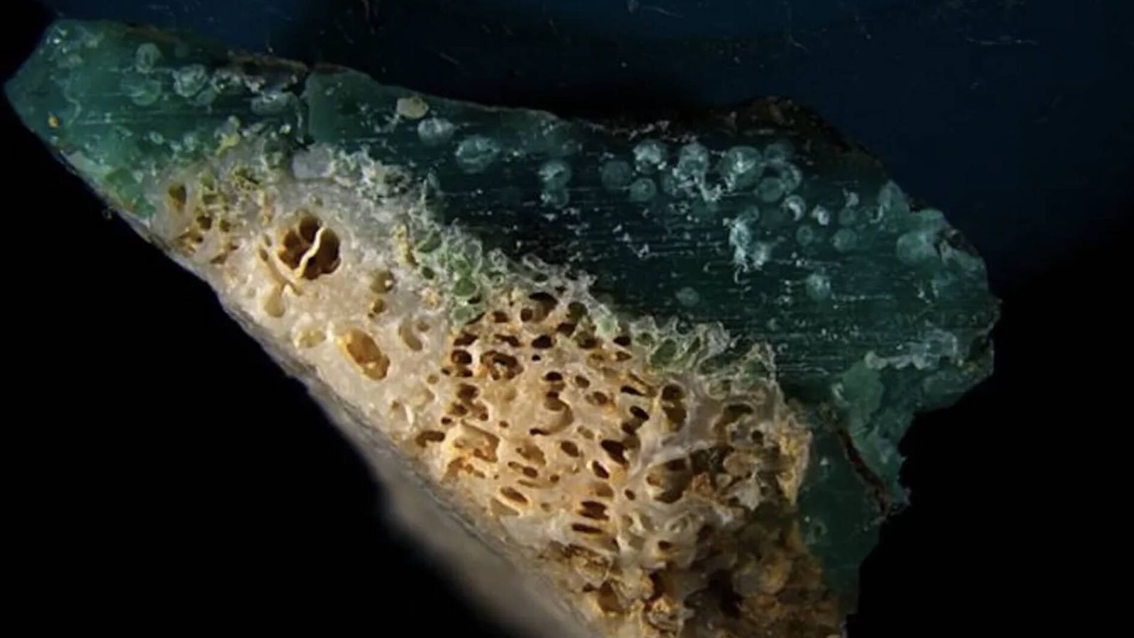 Japão encontra 'plasticorais': plástico fundido em esqueletos de coral