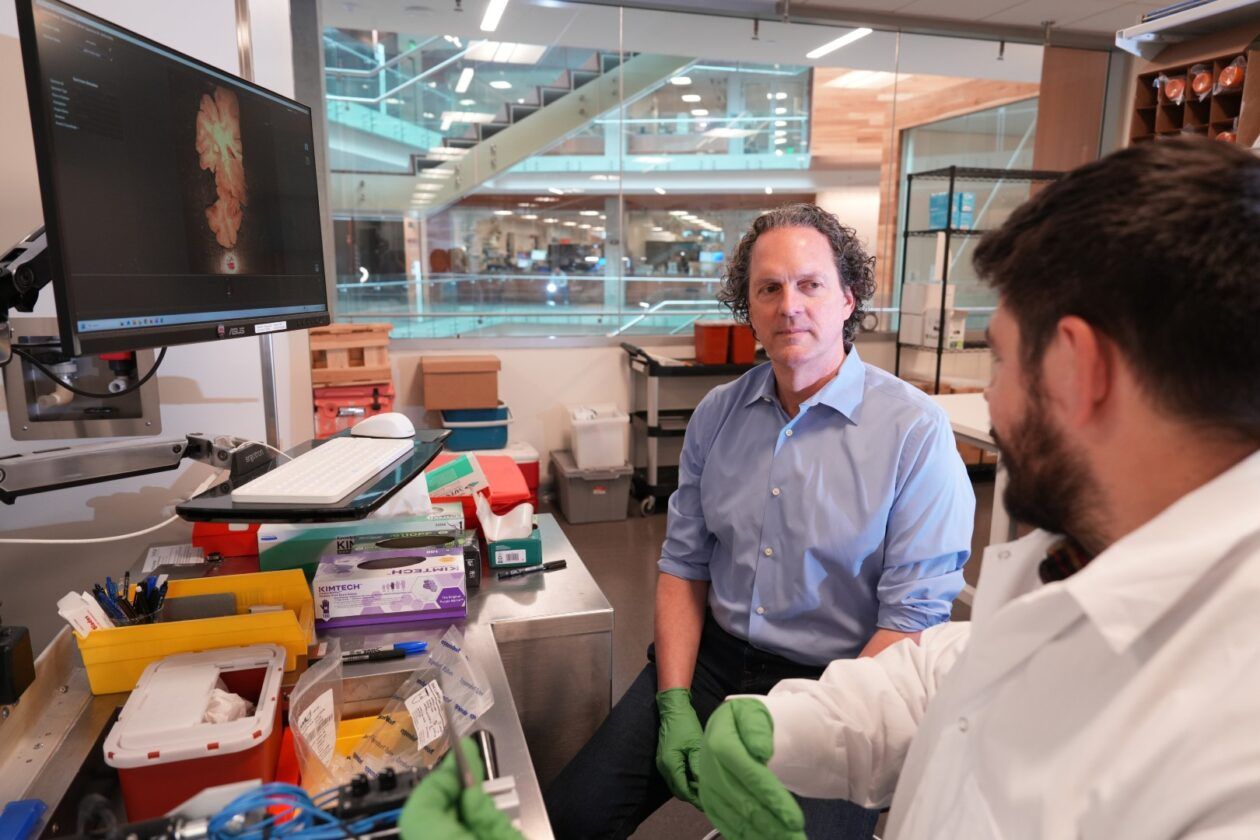 Allen Institute investe US$ 200 milhões para transformar mapeamento cerebral em cura