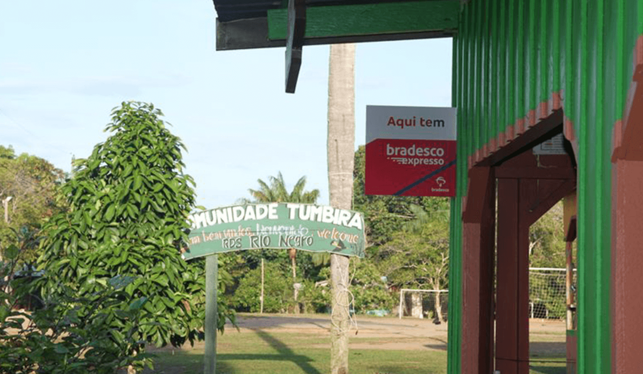 Bradesco lidera bioindustrialização na Amazônia com foco em projetos maduros
