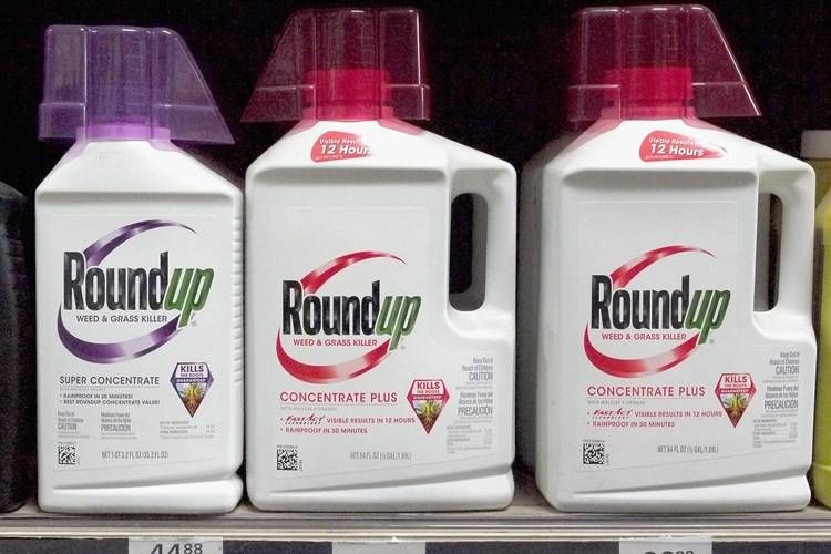 Bayer vence Suprema Corte dos EUA e ações saltam 20% — o fim do pesadelo do Roundup?