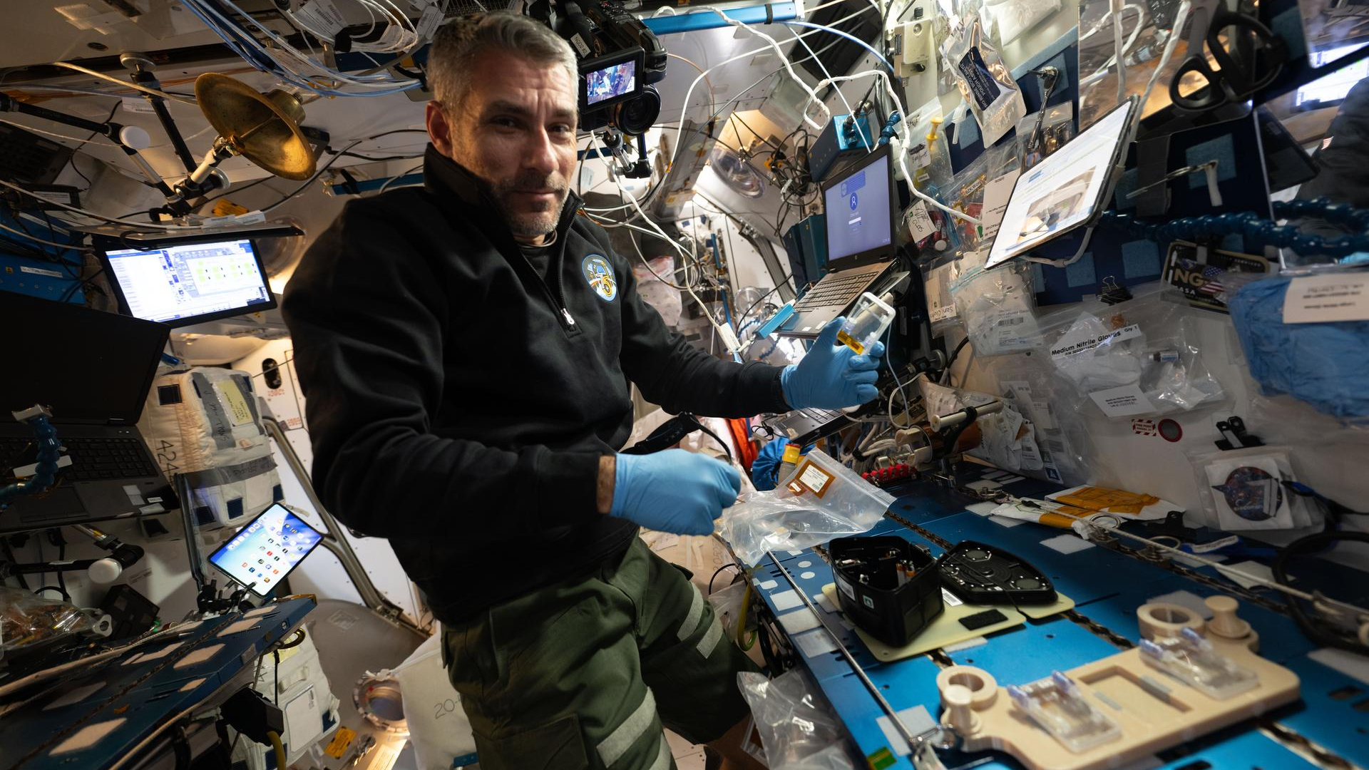 Astronauta cultiva plantas na ISS para desvendar segredos da microgravidade