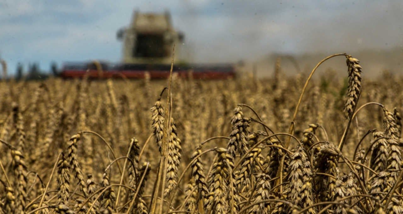 Plano Safra 2026/2027 ignora seguro rural e renegociação de dívidas por restrição fiscal