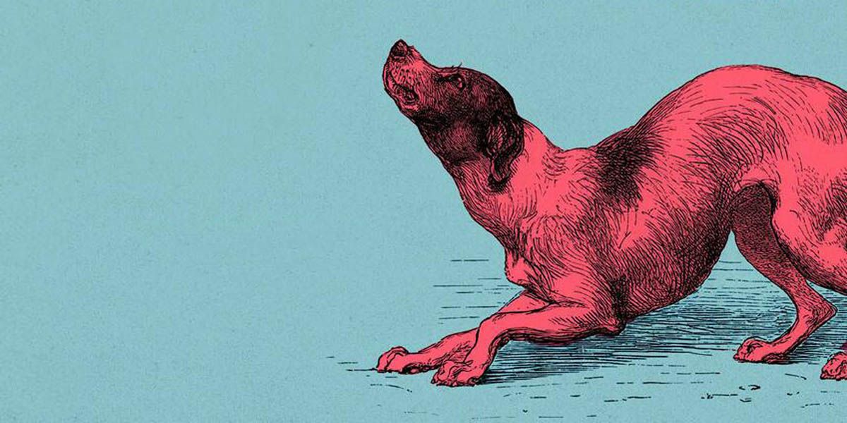 Capas de livros de setembro: arte que define o tom da leitura