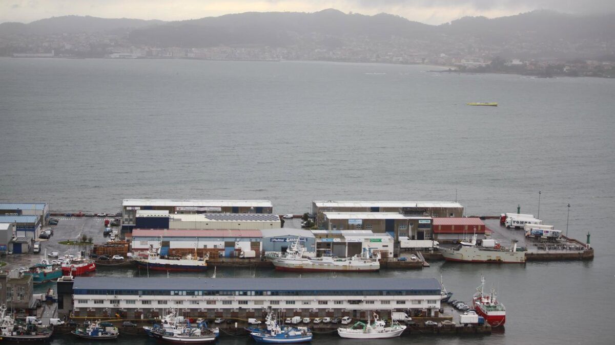 O colapso da lula: Malvinas fecha a pesca e deixa frota espanhola a ver navios
