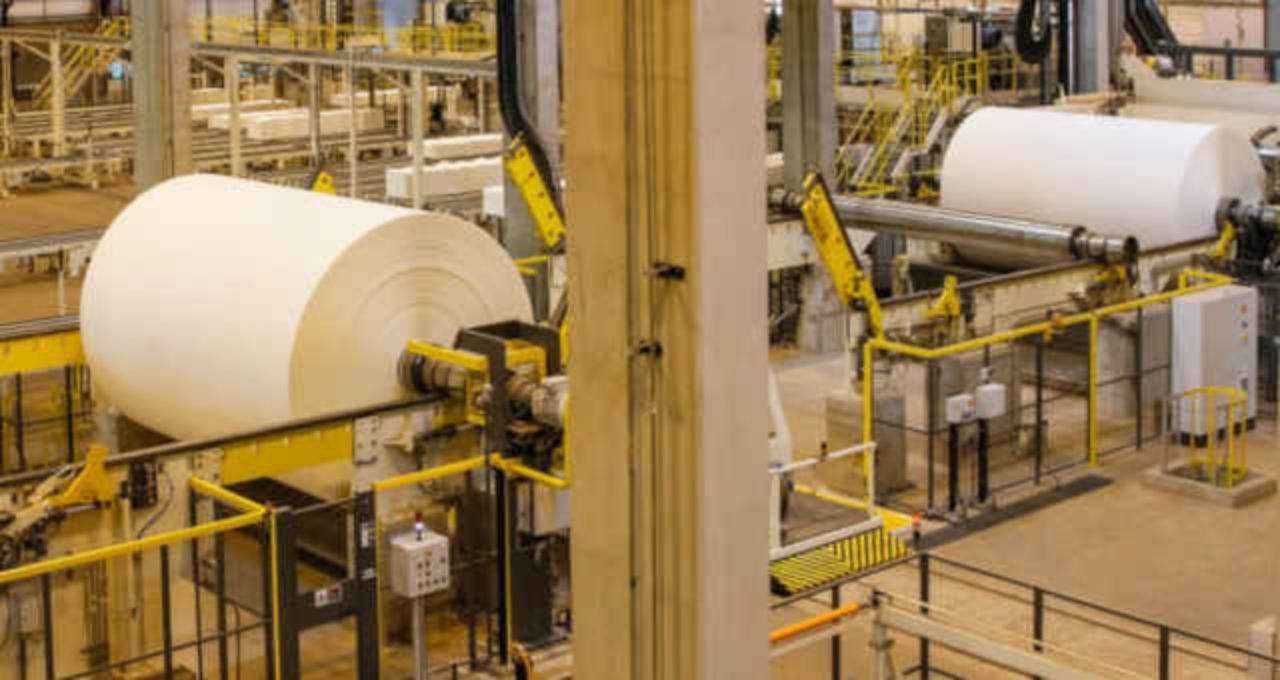 Citi: Klabin e Irani superam Suzano em governo Flávio Bolsonaro