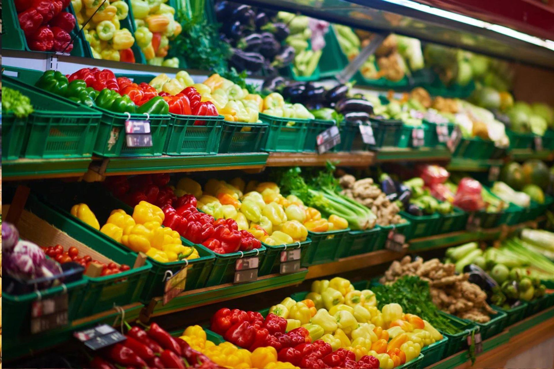 Baleares: Parlament pede ajuda para agricultores após chuvas intensas
