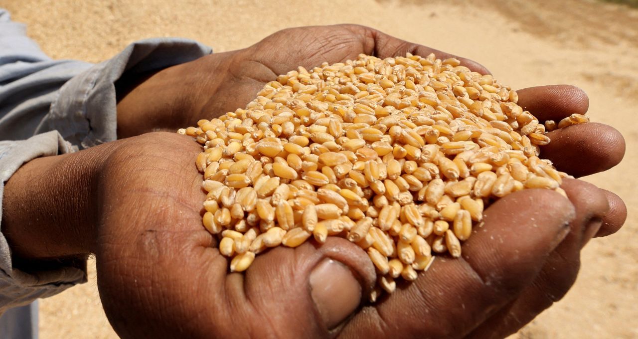 Mercosul: 40% do aumento da demanda global por alimentos virá da América do Sul