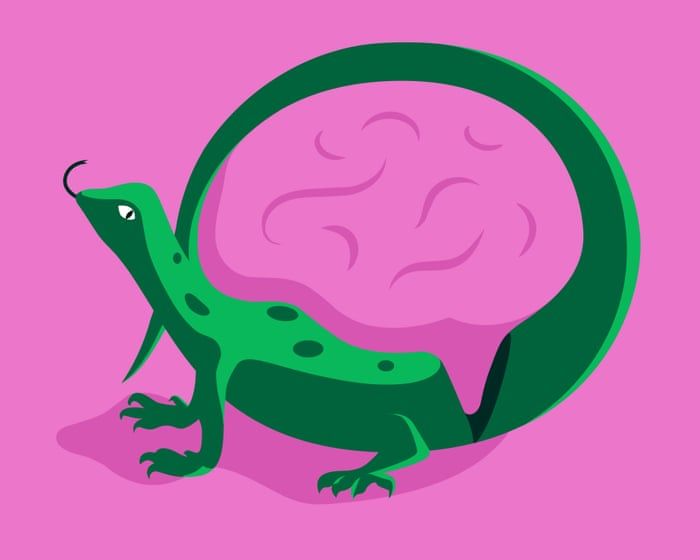 Cérebro reptiliano: neurociência desmistifica modelo simplista da mente
